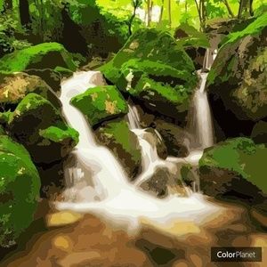 Meet your Posher, Teri